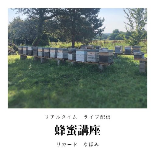 蜂蜜の講座-Course